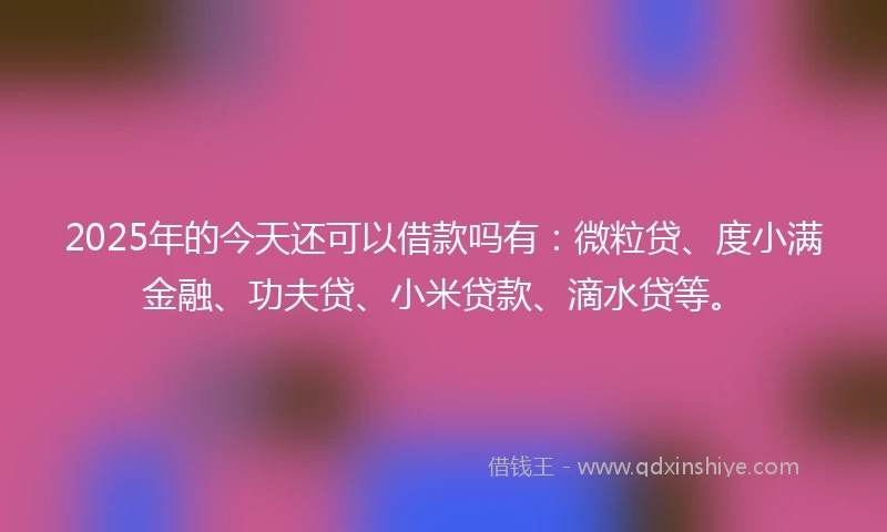 2025年的今天还可以借款吗有：微粒贷、度小满金融、功夫贷、小米贷款、滴水贷等。