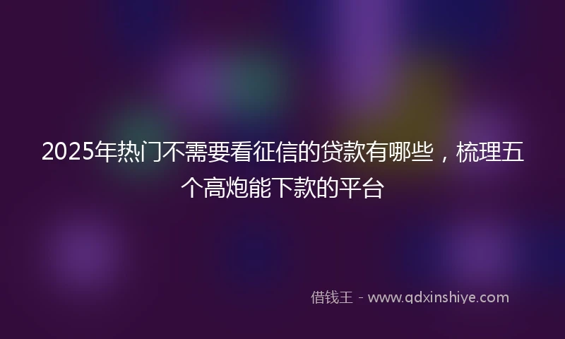 2025年热门不需要看征信的贷款有哪些，梳理五个高炮能下款的平台