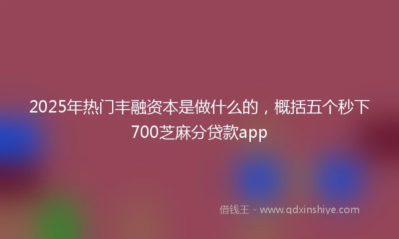 2025年热门丰融资本是做什么的，概括五个秒下700芝麻分贷款app