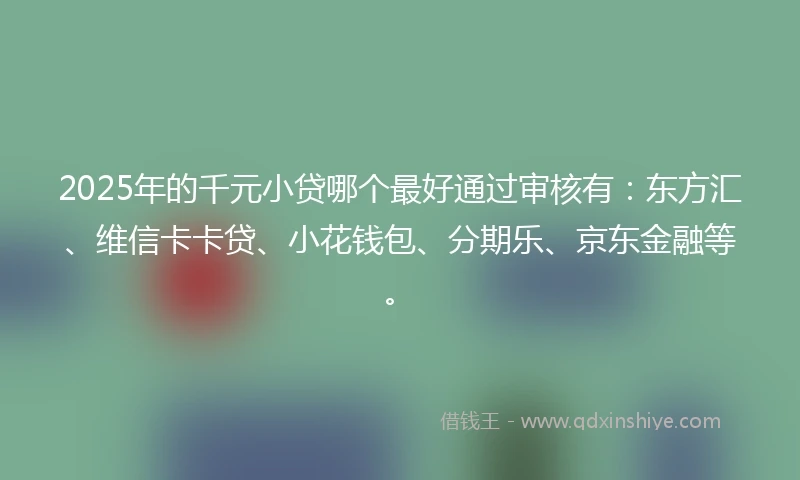 2025年的千元小贷哪个最好通过审核有：东方汇、维信卡卡贷、小花钱包、分期乐、京东金融等。