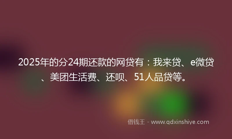 2025年的分24期还款的网贷有：我来贷、e微贷、美团生活费、还呗、51人品贷等。