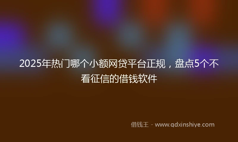 2025年热门哪个小额网贷平台正规，盘点5个不看征信的借钱软件