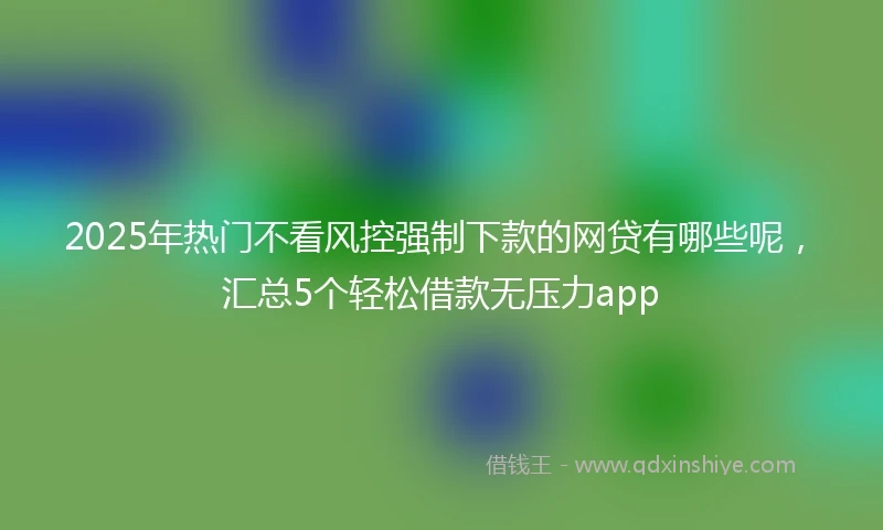 2025年热门不看风控强制下款的网贷有哪些呢，汇总5个轻松借款无压力app