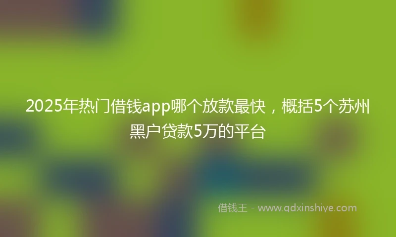 2025年热门借钱app哪个放款最快,概括5个苏州黑户贷款5万的平台