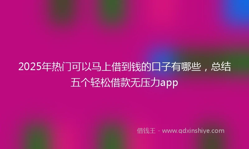 2025年热门可以马上借到钱的口子有哪些,总结五个轻松借款无压力app