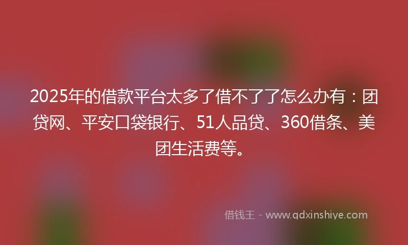2025年的借款平台太多了借不了了怎么办有：团贷网、平安口袋银行、51人品贷、360借条、美团生活费等。