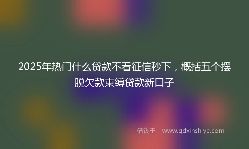 2025年热门什么贷款不看征信秒下，概括五个摆脱欠款束缚贷款新口子