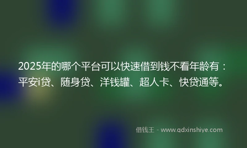 2025年的哪个平台可以快速借到钱不看年龄有：平安i贷、随身贷、洋钱罐、超人卡、快贷通等。