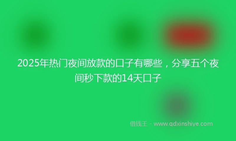 2025年热门夜间放款的口子有哪些，分享五个夜间秒下款的14天口子
