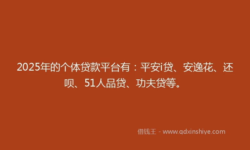 2025年的个体贷款平台有：平安i贷、安逸花、还呗、51人品贷、功夫贷等。
