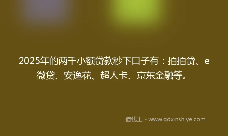 2025年的两千小额贷款秒下口子有：拍拍贷、e微贷、安逸花、超人卡、京东金融等。