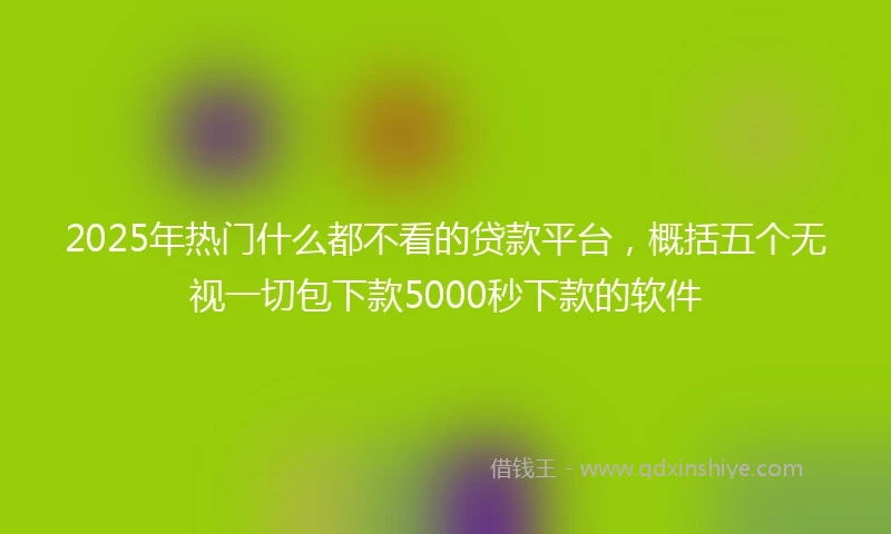 2025年热门什么都不看的贷款平台，概括五个无视一切包下款5000秒下款的软件