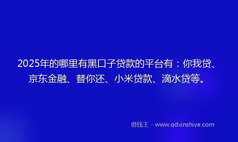 2025年的哪里有黑口子贷款的平台有：你我贷、京东金融、替你还、小米贷款、滴水贷等。