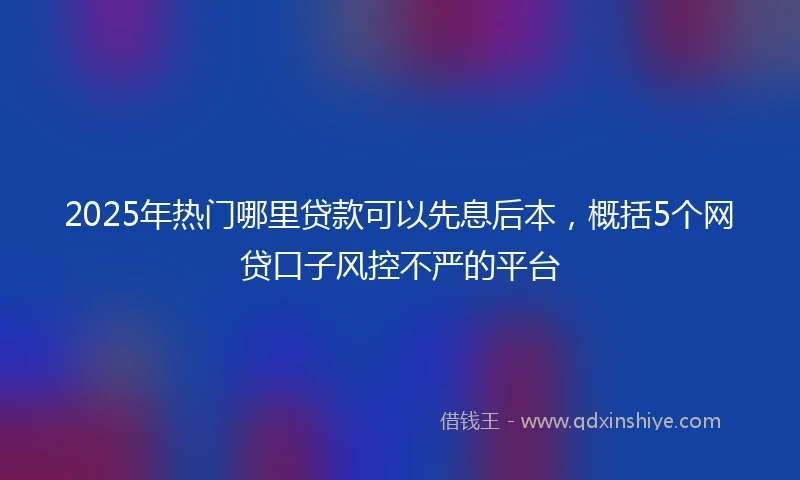 2025年热门哪里贷款可以先息后本，概括5个网贷口子风控不严的平台