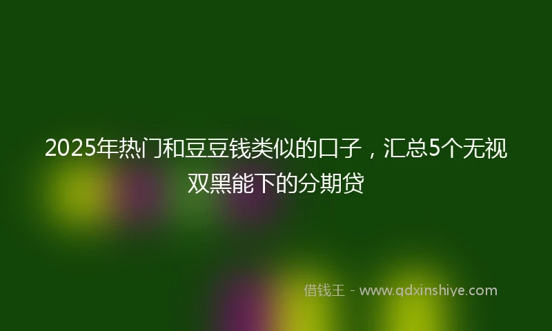 2025年热门和豆豆钱类似的口子，汇总5个无视双黑能下的分期贷