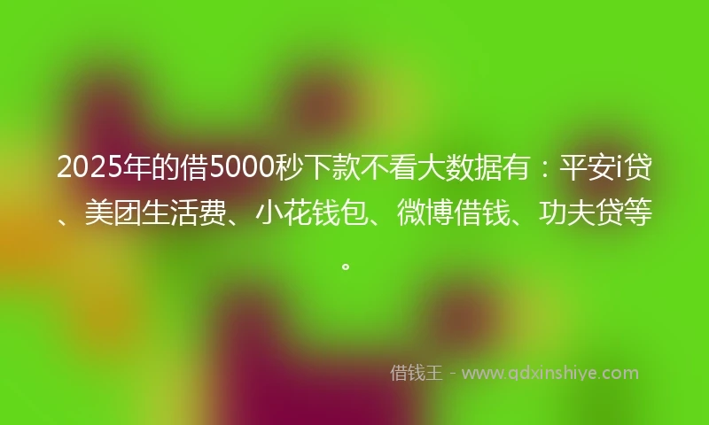 2025年的借5000秒下款不看大数据有:平安i贷、美团生活费、小花钱包、微博借钱、功夫贷等。