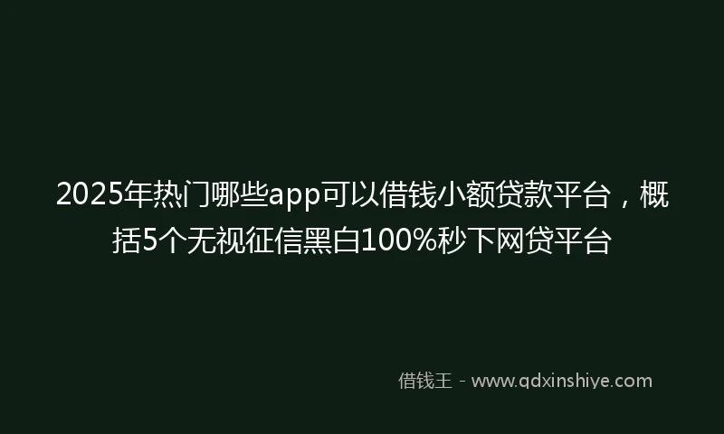 2025年热门哪些app可以借钱小额贷款平台，概括5个无视征信黑白100%秒下网贷平台