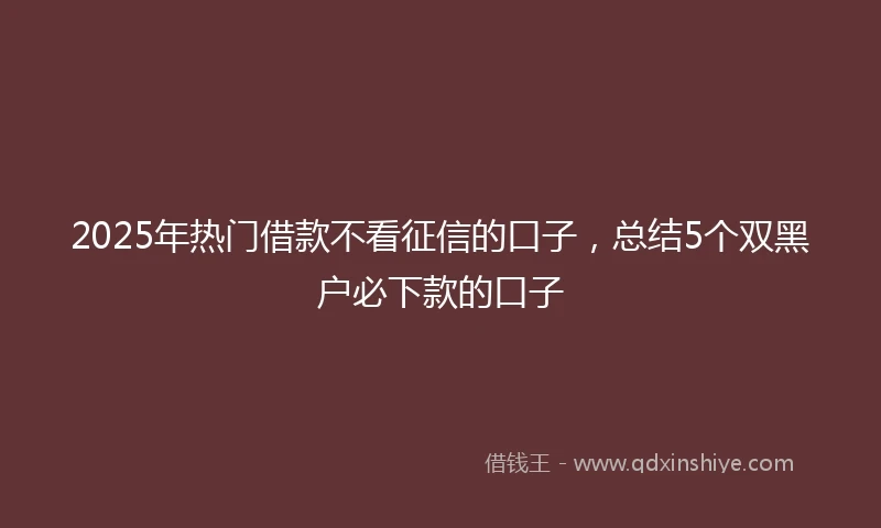 2025年热门借款不看征信的口子，总结5个双黑户必下款的口子