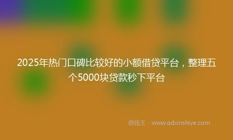 2025年热门口碑比较好的小额借贷平台，整理五个5000块贷款秒下平台
