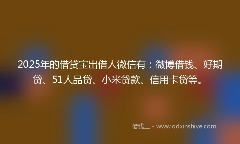2025年的借贷宝出借人微信有：微博借钱、好期贷、51人品贷、小米贷款、信用卡贷等。