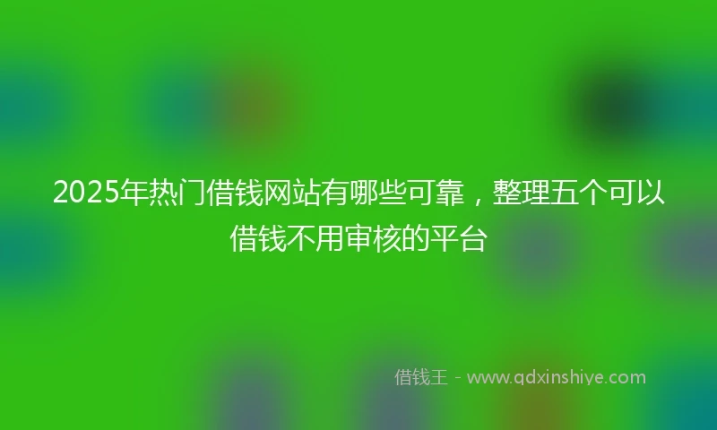 2025年热门借钱网站有哪些可靠，整理五个可以借钱不用审核的平台
