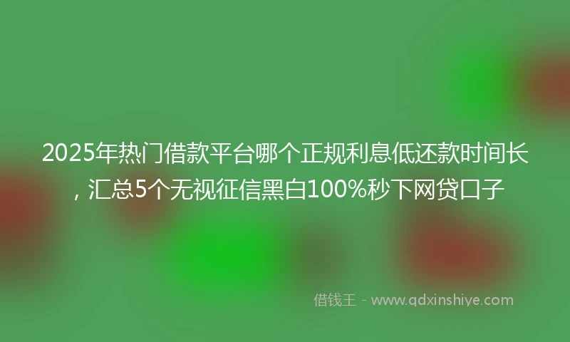 2025年热门借款平台哪个正规利息低还款时间长，汇总5个无视征信黑白100%秒下网贷口子