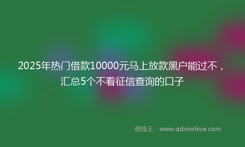 2025年热门借款10000元马上放款黑户能过不，汇总5个不看征信查询的口子