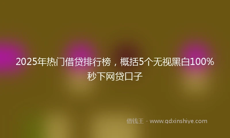 2025年热门借贷排行榜，概括5个无视黑白100%秒下网贷口子