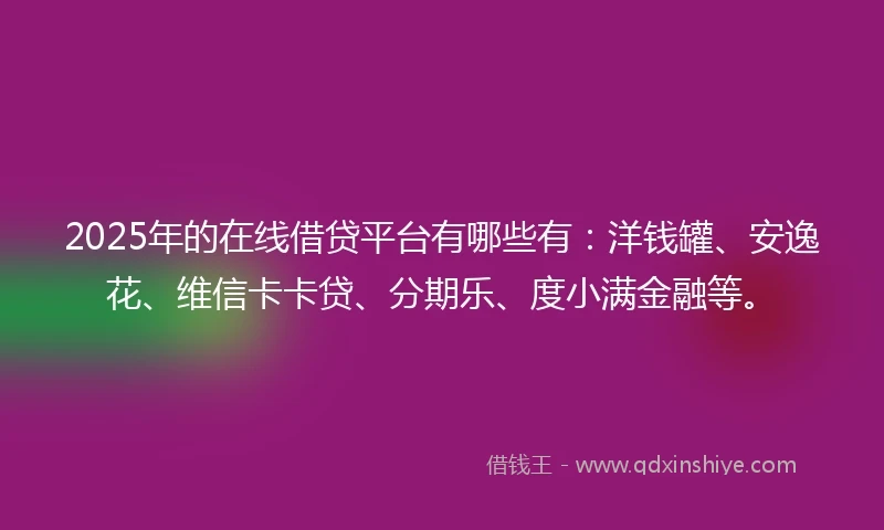 2025年的在线借贷平台有哪些有：洋钱罐、安逸花、维信卡卡贷、分期乐、度小满金融等。