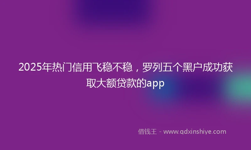 2025年热门信用飞稳不稳，罗列五个黑户成功获取大额贷款的app