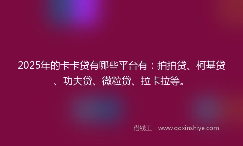 2025年的卡卡贷有哪些平台有：拍拍贷、柯基贷、功夫贷、微粒贷、拉卡拉等。