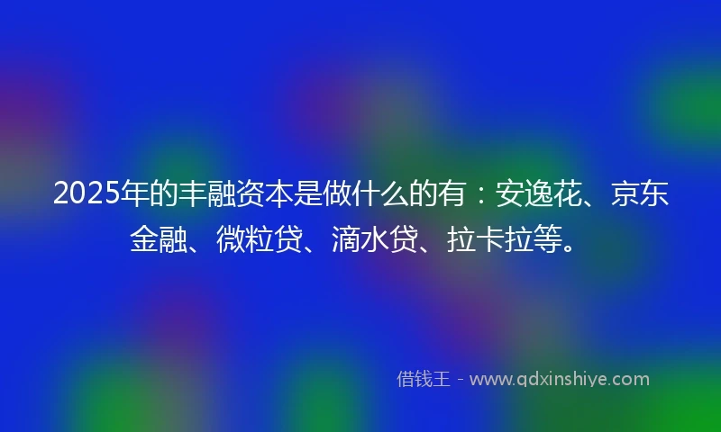 2025年的丰融资本是做什么的有：安逸花、京东金融、微粒贷、滴水贷、拉卡拉等。