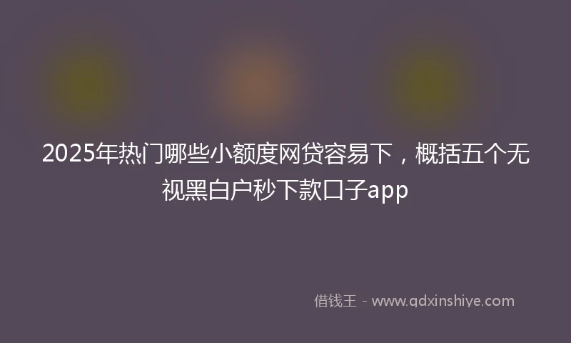 2025年热门哪些小额度网贷容易下，概括五个无视黑白户秒下款口子app