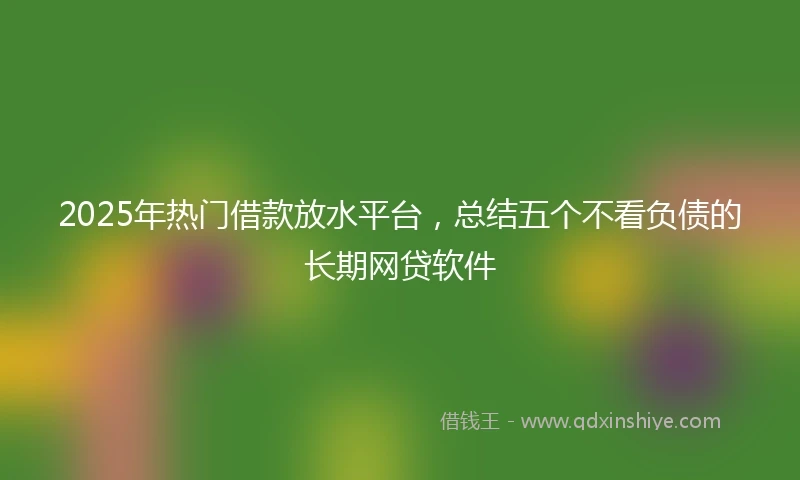 2025年热门借款放水平台,总结五个不看负债的长期网贷软件