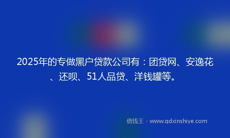 2025年的专做黑户贷款公司有：团贷网、安逸花、还呗、51人品贷、洋钱罐等。