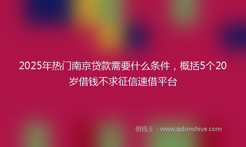 2025年热门南京贷款需要什么条件，概括5个20岁借钱不求征信速借平台