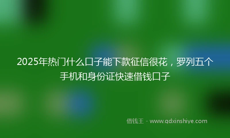 2025年热门什么口子能下款征信很花，罗列五个手机和身份证快速借钱口子