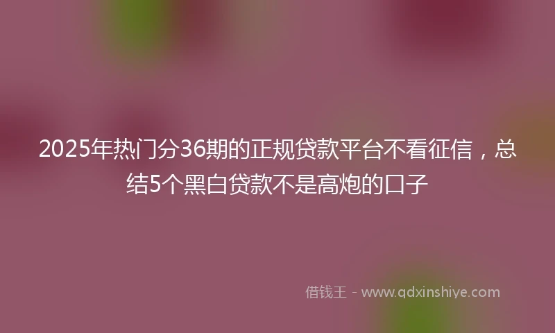 2025年热门分36期的正规贷款平台不看征信，总结5个黑白贷款不是高炮的口子