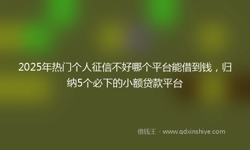 2025年热门个人征信不好哪个平台能借到钱，归纳5个必下的小额贷款平台