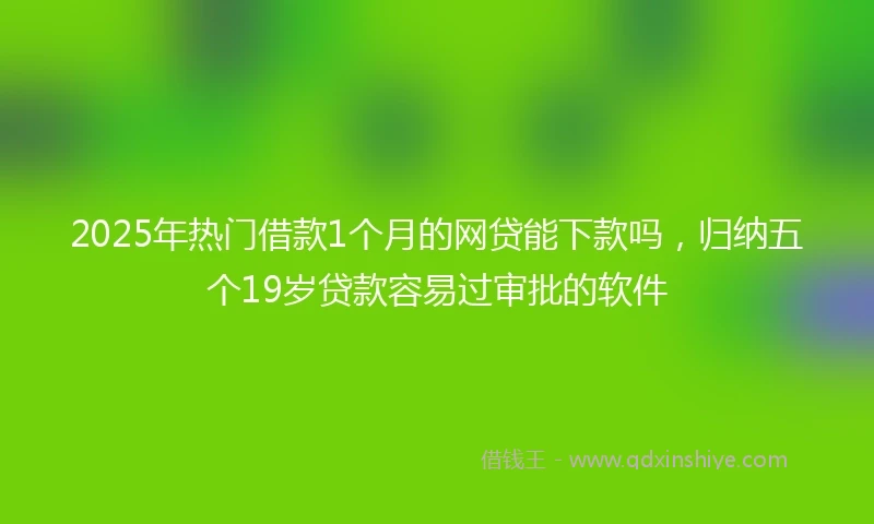 2025年热门借款1个月的网贷能下款吗，归纳五个19岁贷款容易过审批的软件