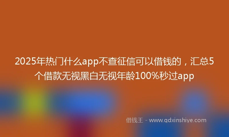 2025年热门什么app不查征信可以借钱的，汇总5个借款无视黑白无视年龄100%秒过app
