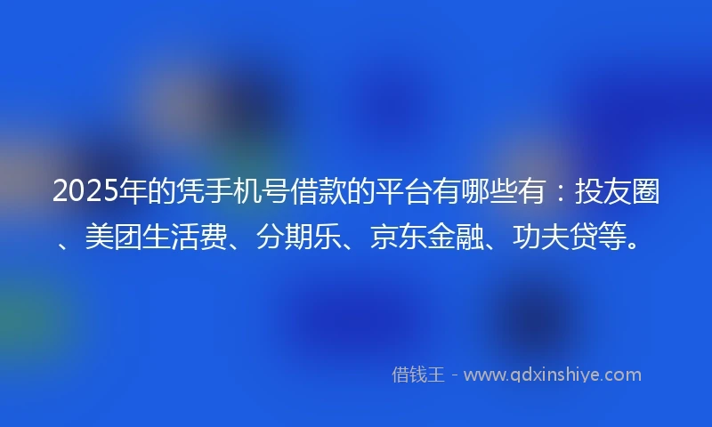 2025年的凭手机号借款的平台有哪些有：投友圈、美团生活费、分期乐、京东金融、功夫贷等。