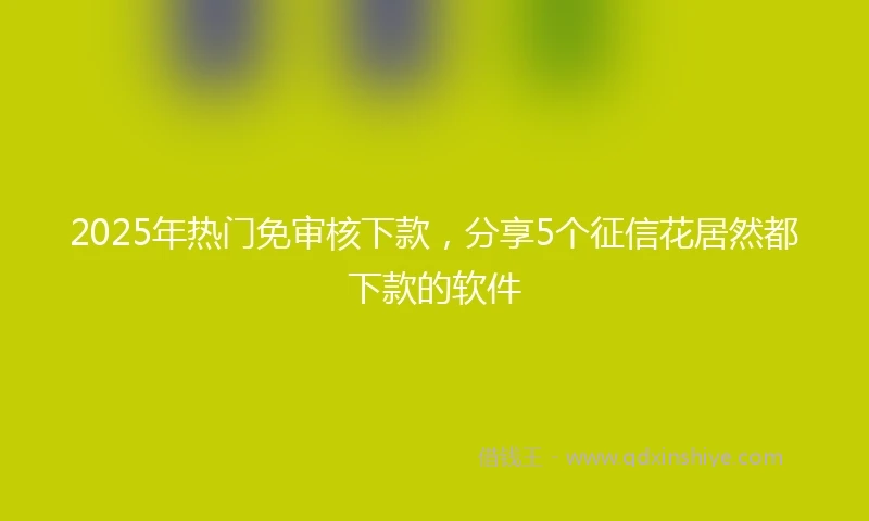 2025年热门免审核下款，分享5个征信花居然都下款的软件