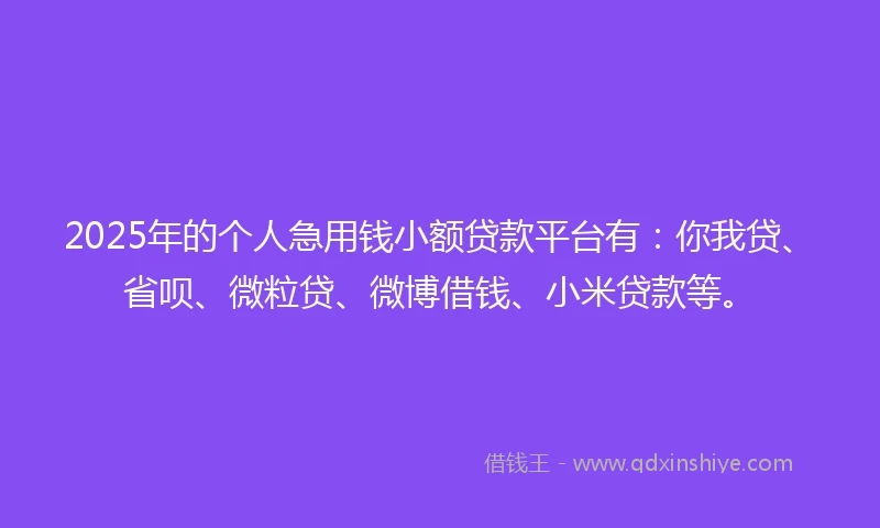 2025年的个人急用钱小额贷款平台有：你我贷、省呗、微粒贷、微博借钱、小米贷款等。