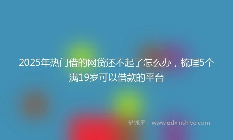 2025年热门借的网贷还不起了怎么办，梳理5个满19岁可以借款的平台