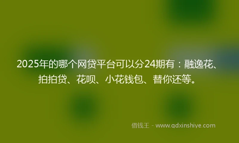 2025年的哪个网贷平台可以分24期有：融逸花、拍拍贷、花呗、小花钱包、替你还等。