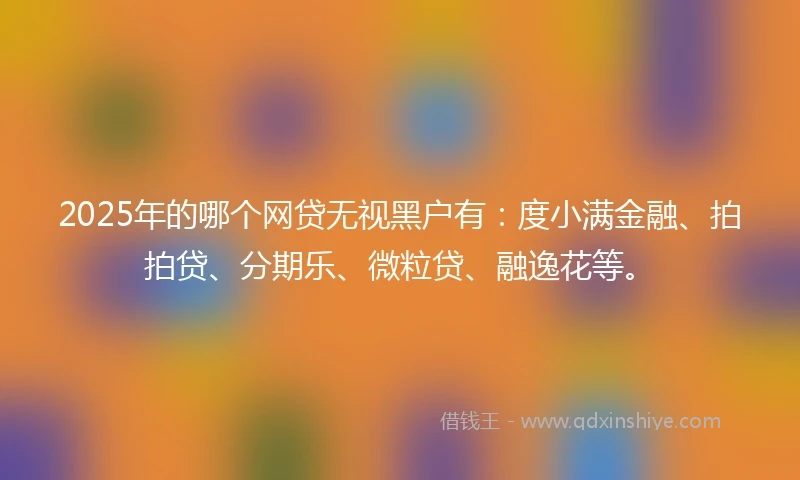 2025年的哪个网贷无视黑户有：度小满金融、拍拍贷、分期乐、微粒贷、融逸花等。