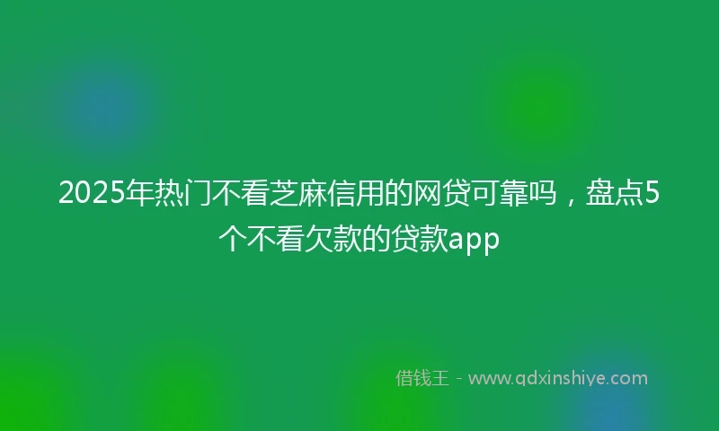 2025年热门不看芝麻信用的网贷可靠吗,盘点5个不看欠款的贷款app