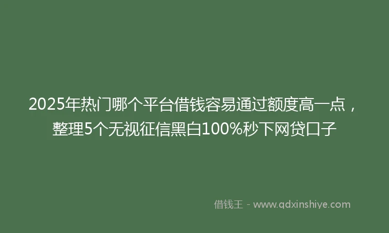 2025年热门哪个平台借钱容易通过额度高一点，整理5个无视征信黑白100%秒下网贷口子