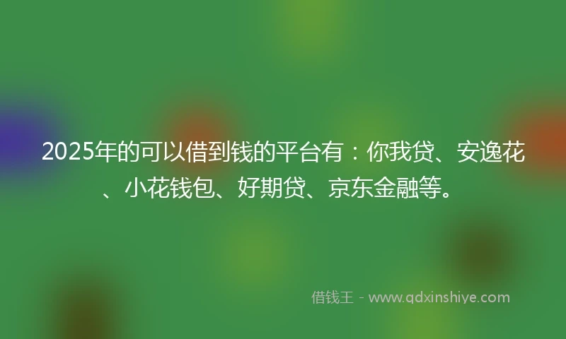 2025年的可以借到钱的平台有：你我贷、安逸花、小花钱包、好期贷、京东金融等。